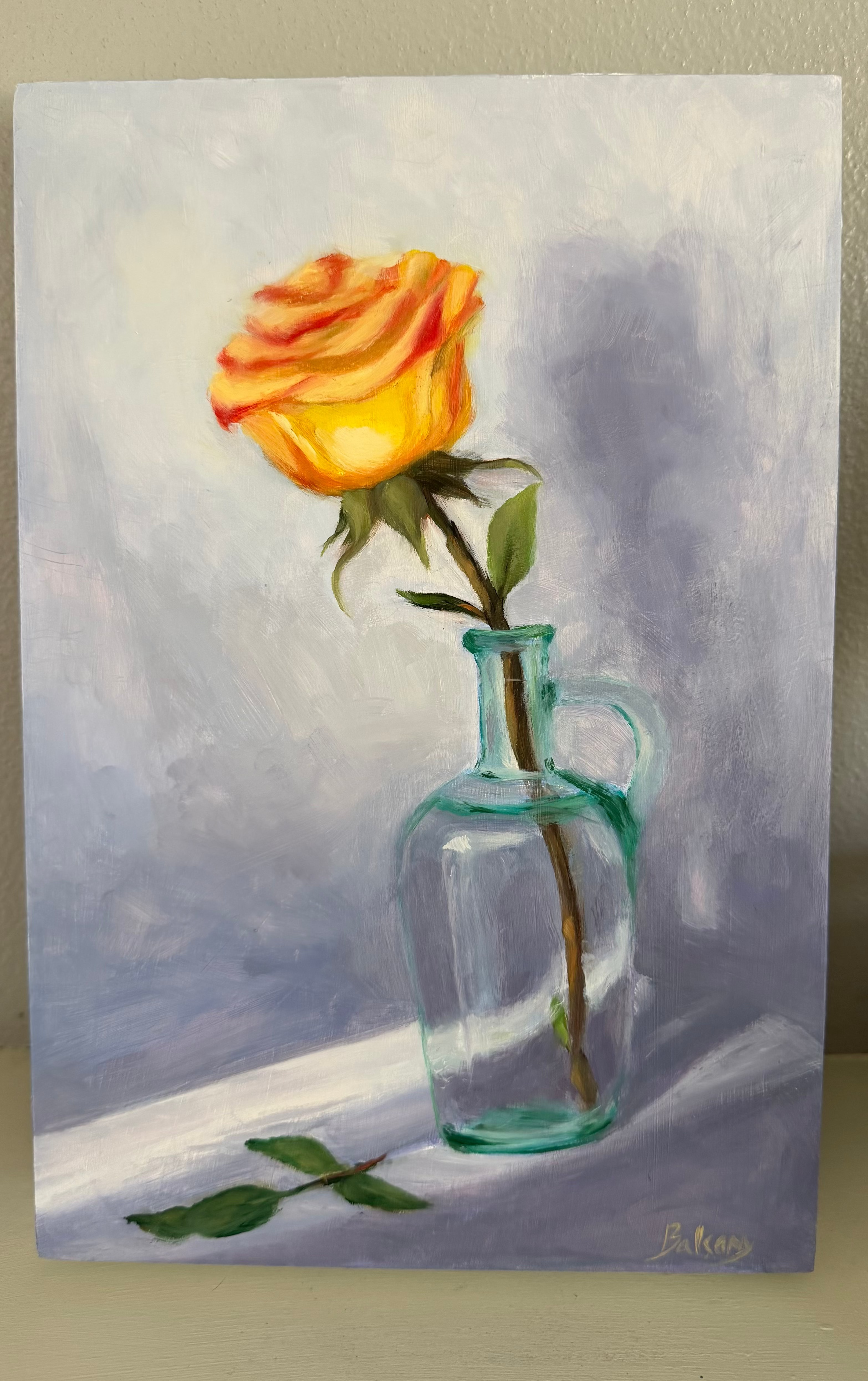 A single rose
